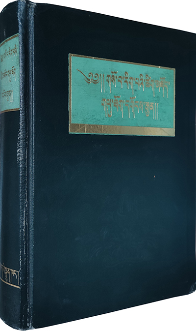 1983 藏医辞典  - 立体 - 原图 旺堆 编著.jpg