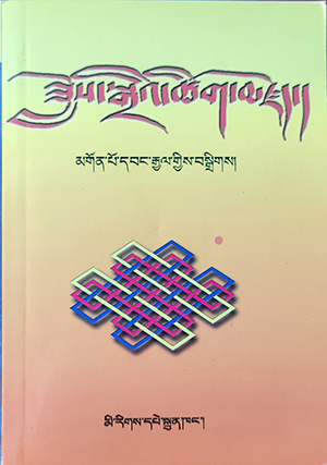 2004 藏语重叠词词典-贡布旺杰-编.jpg